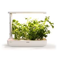 GIARDINO INDOOR